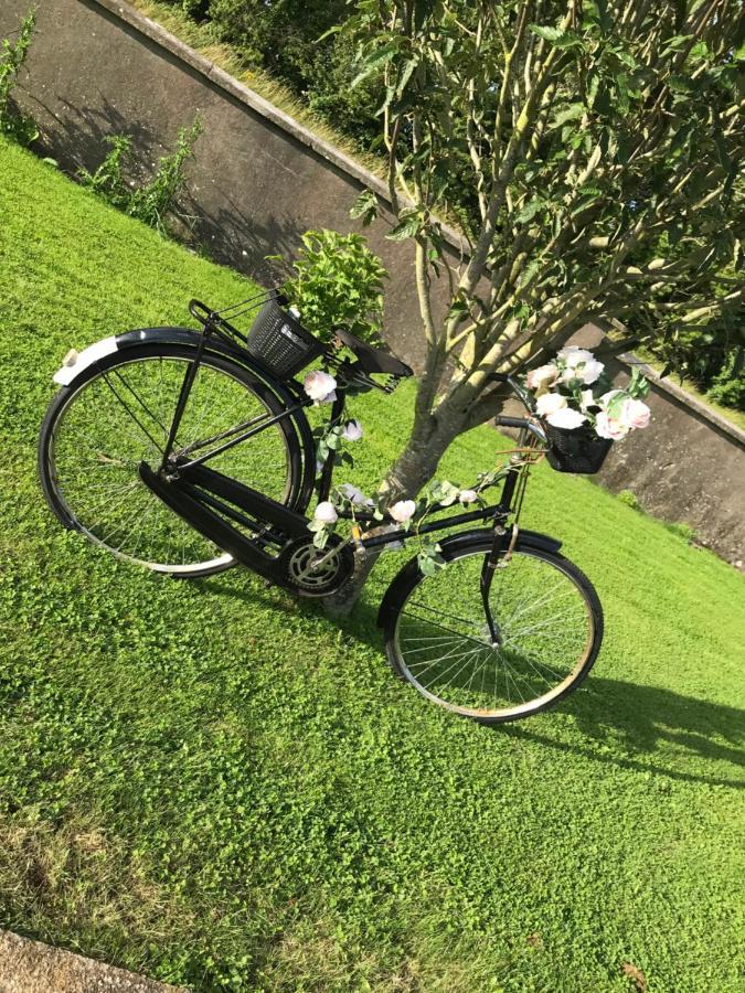 Laithreach Briuin B&B W23E0H9 Maynooth Esterno foto
